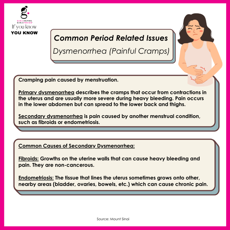 Demystifying Menstruation Understanding Periods And The Menstrual