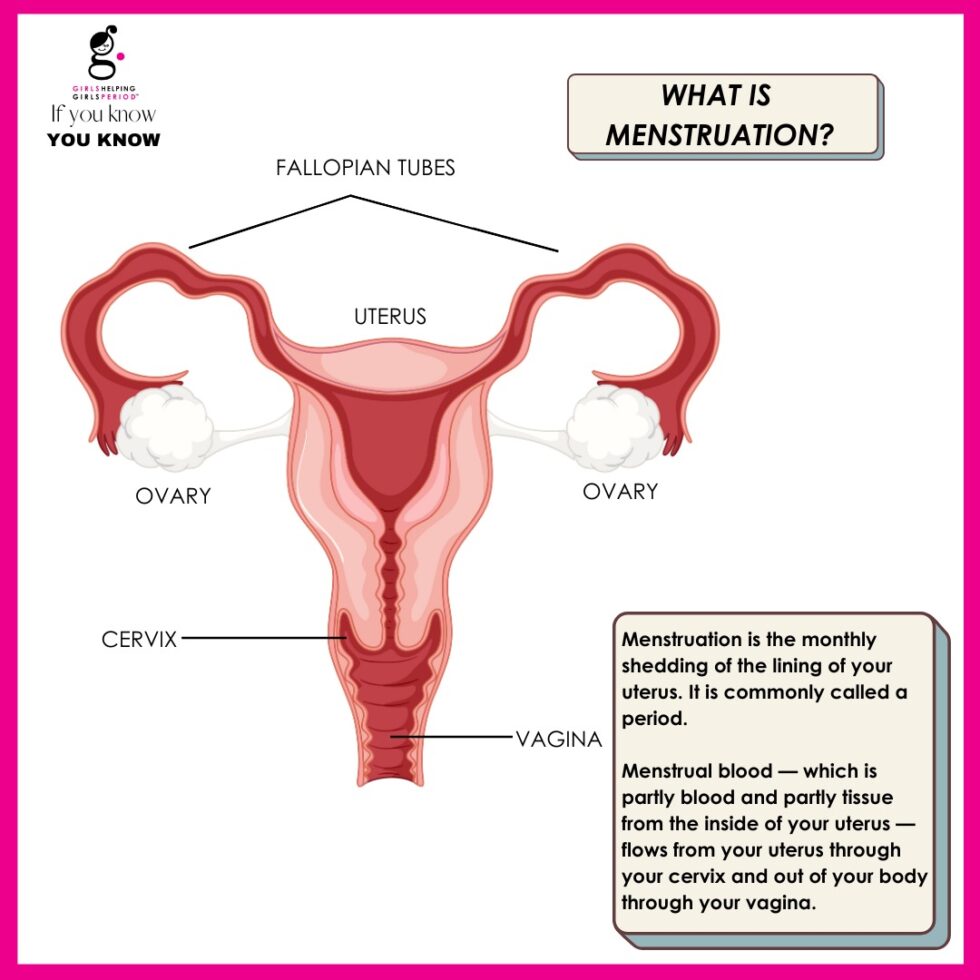 Demystifying Menstruation Understanding Periods And The Menstrual